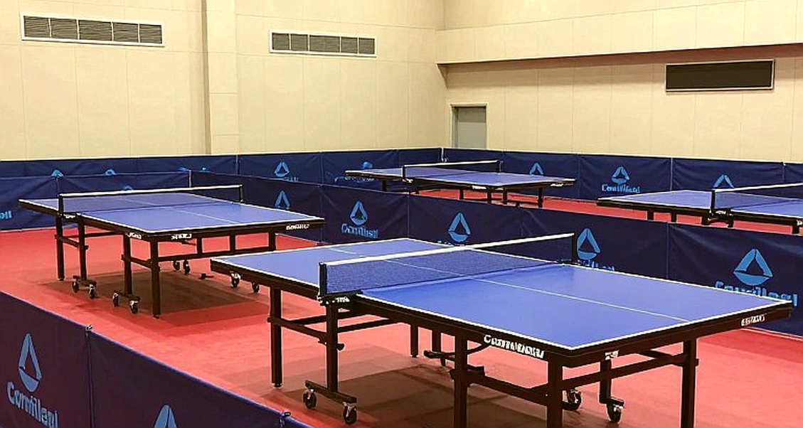 Bảng xếp hạng bóng bàn thế giới sau Paris 2026: Khi thứ hạng đo sự hiện diện, không đo đỉnh cao