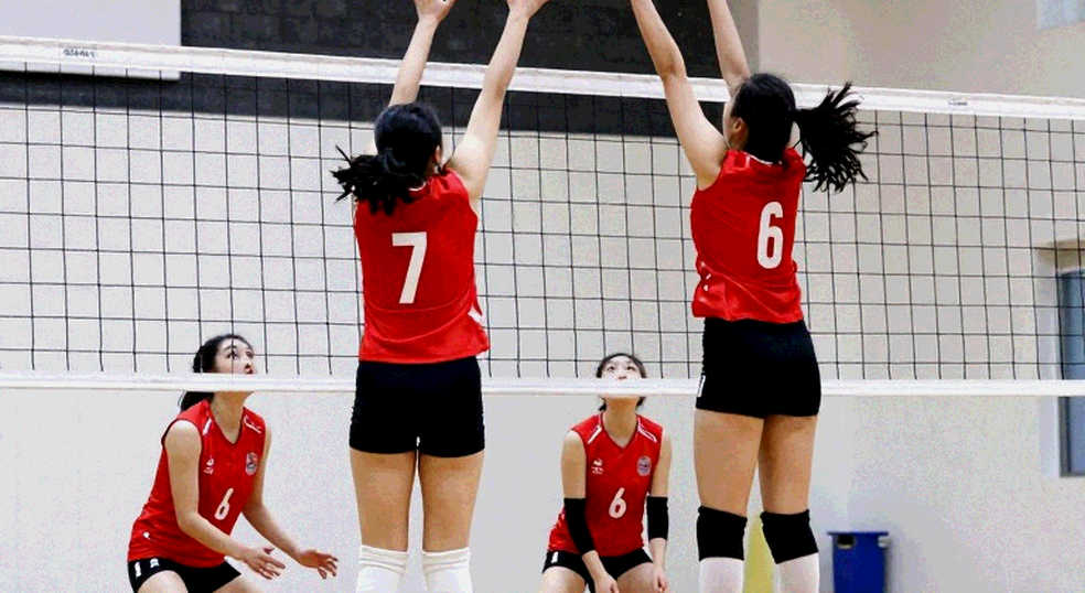Vietnam Women's Volleyball Exits at the Quarterfinals: What the Result Line Does Not Say Vietnam Women's Volleyball Exits at the Quarterfinals: What the Result Line Does Not Say